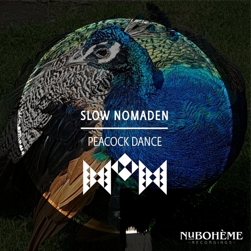 Slow Nomaden - Garam Masala [NB56]